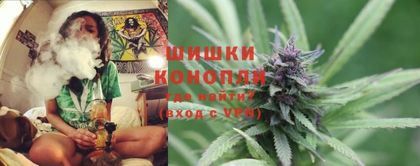 дурь Нягань